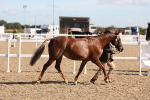 SBM_12853