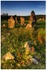 Beaghmore Stone Circles (IMG0259)