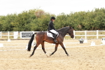SBM_003626