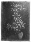 Dark Drawing 20in x 30in