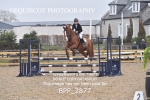 BPP_2877