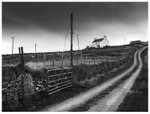 The Road Into Dursey, West Cork