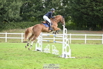 Cls 34 Snr Foxhunter portfolio