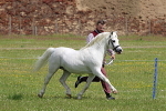 SIAL7860