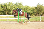 SBM_000339