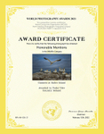World Photography Awards_2021_Wildlife