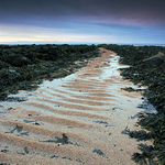 Path to the Sea, Berwick