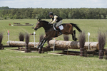 BVHT 140517  IXC -809