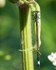 20080623- 003