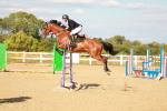 SBM_007984
