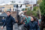 161125-Race 6-A Likeable Rogue-1825