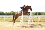 Class 5 - National 1.30m Open portfolio