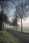 Moor Crichel 3356