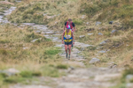 Peris Horseshoe-729