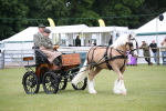 SBM_05675