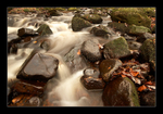 Padley III