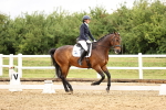 SBM_005006