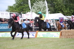 SBM_09942