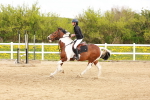 SBM_004064