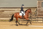 SBM_000381