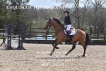 BPP_1031