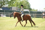 SBM_07695