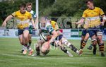 Guernsey Raiders v Old Albanian_2022-57