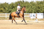 SBM_000966