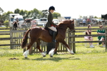 SBM_08475
