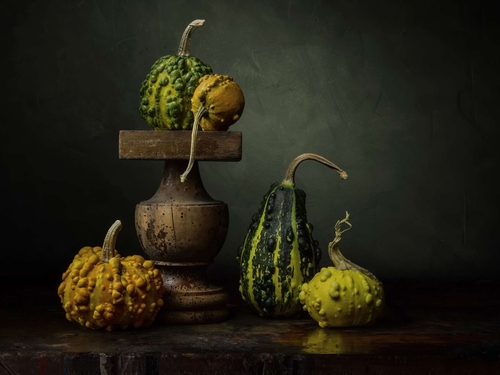 A selection of Gourds. Light-painted still-life photograph featuring a selection of decorative gourds. Lit by diffuse…