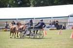 SBM_15334