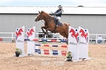 BPP_7738