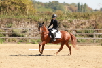 SBM_010681