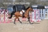 BPP_7365