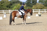 SBM_015994