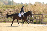 SBM_009875