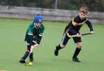 Kendal Hockey Festival (Sunday 26 November 2023) portfolio