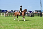 SBM_03843