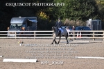 BPP_8509