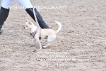 BPP_3464