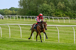 300526-Race 5-Holbache-0674