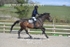 BPP_2921