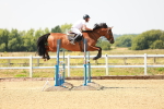 SBM_001850