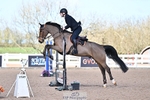Cls 20 British Novice and 90cm Open portfolio