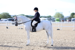 SBM_16832