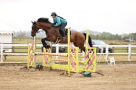 SBM_025558