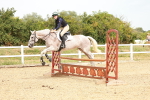 SBM_004294