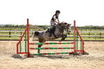 SBM_001484