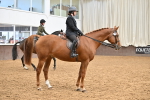 SBM_001540