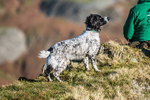 Dunnerdale-4